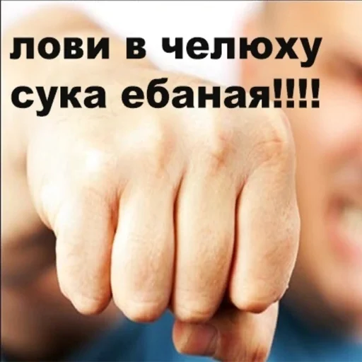 🤛 Стикер «навал гавна» для Telegram