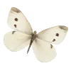 🦋 Эмодзи «Vanilla Core» для Telegram