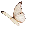 🦋 Эмодзи «Vanilla Core» для Telegram