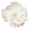 🌸 Эмодзи «Vanilla Core» для Telegram