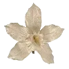 🌸 Эмодзи «Vanilla Core» для Telegram
