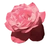 🌟 Эмодзи «Vaporwave» для Telegram