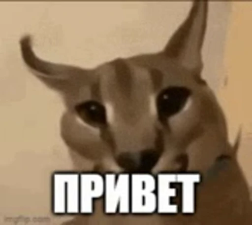 👋 Стикер «Большой Шлёпа» для Telegram
