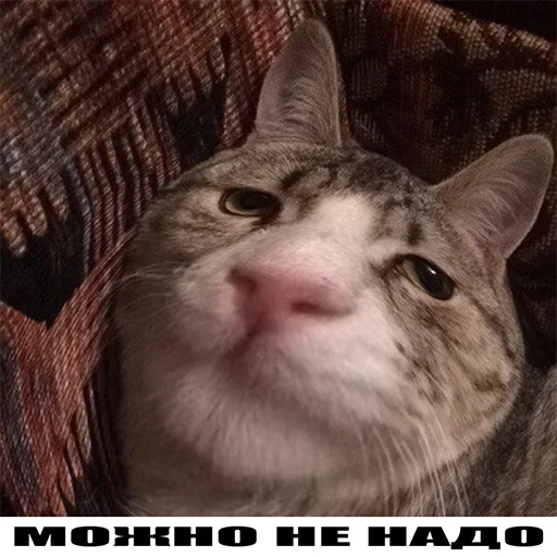 😖 Стикер «VБЛЯДЪСКИЕ СТИКЕРЫ» для Telegram
