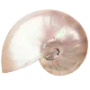 🐚 Эмодзи «Sea World» для Telegram