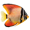 🐟 Эмодзи «Sea World» для Telegram