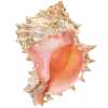 🐚 Эмодзи «Sea World» для Telegram