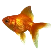 🐠 Эмодзи «Sea World» для Telegram