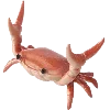 🦀 Эмодзи «Sea World» для Telegram