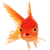 🐟 Эмодзи «Sea World» для Telegram