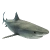 🦈 Эмодзи «Sea World» для Telegram