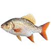 🐟 Эмодзи «Sea World» для Telegram