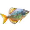 🐠 Эмодзи «Sea World» для Telegram