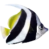 🐟 Эмодзи «Sea World» для Telegram