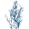 🪸 Эмодзи «Sea World» для Telegram