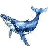 🐋 Эмодзи «Sea World» для Telegram