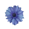🕊️ Эмодзи «Blue» для Telegram