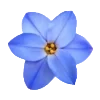 🕊️ Эмодзи «Blue» для Telegram