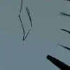 ⚫ Эмодзи «Venom» для Telegram