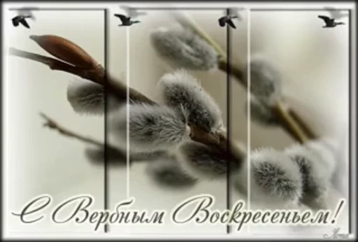 🌷 Стикер «Вербное Воскресенье» для Telegram