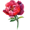 🤩 Эмодзи «от» для Telegram