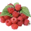 🧚 Эмодзи «fairy» для Telegram