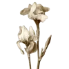 🧚 Эмодзи «fairy» для Telegram