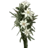 🧚 Эмодзи «fairy» для Telegram