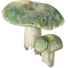 🧚 Эмодзи «fairy» для Telegram