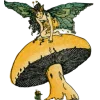 🧚 Эмодзи «fairy» для Telegram
