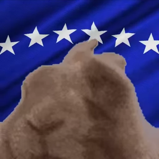 🇽🇰 Стикер «VIBE flag» для Telegram