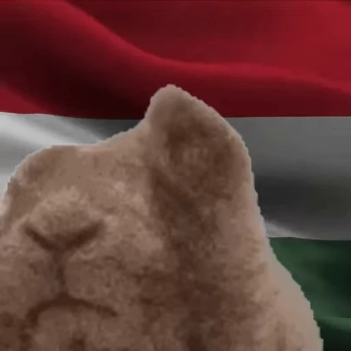 🇭🇺 Стикер «VIBE flag» для Telegram