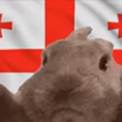 🇬🇪 Эмодзи «Vibe Flag Emoji» для Telegram