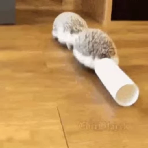 🚀 Стикер «🦔» для Telegram