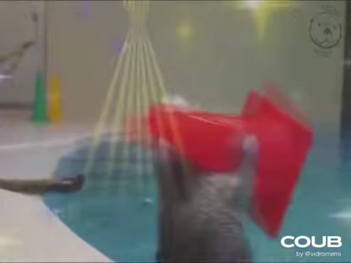 🕺 Стикер «OTTERS» для Telegram