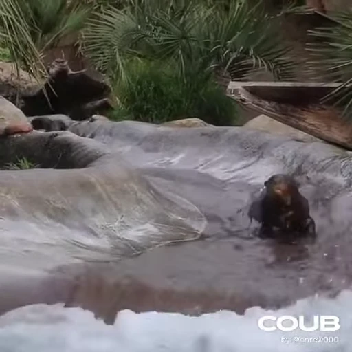 🚰 Стикер «OTTERS» для Telegram