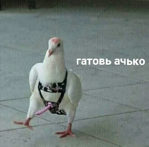 😏 Стикер «Вилка» для Telegram