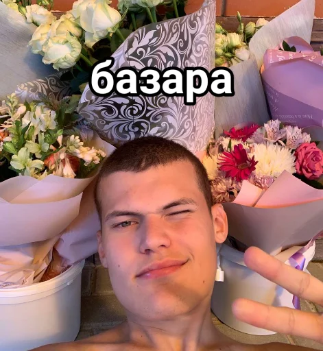🤝 Стикер «Vini и друзья» для Telegram