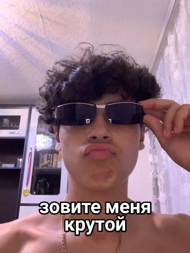 😎 Стикер «Vini и друзья» для Telegram