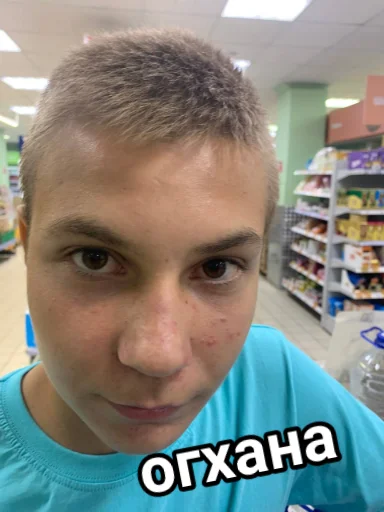 👮 Стикер «Vini и друзья» для Telegram