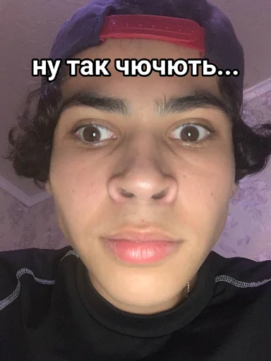 🥴 Стикер «Vini и друзья» для Telegram