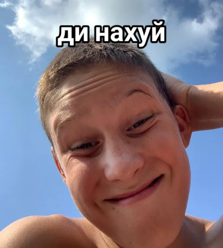 🖕 Стикер «Vini и друзья» для Telegram