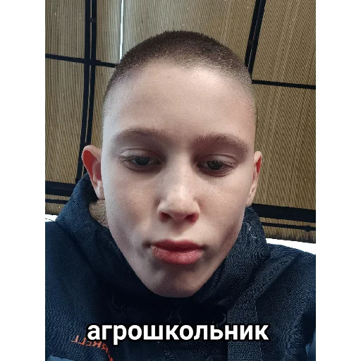🤬 Стикер «Vini и друзья» для Telegram