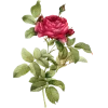🌷 Эмодзи «Vintage Postcard» для Telegram