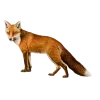 🦊 Эмодзи «Vintage Postcard» для Telegram