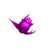 🤩 Эмодзи «𝑉𝑖𝑜𝑙𝑒𝑡 𝑀𝑜𝑜𝑛𝑙𝑖𝑔ℎ𝑡» для Telegram