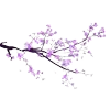 🤩 Эмодзи «𝑉𝑖𝑜𝑙𝑒𝑡 𝑀𝑜𝑜𝑛𝑙𝑖𝑔ℎ𝑡» для Telegram