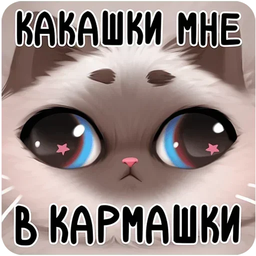💩 Стикер «Паушка Без Текста» для Telegram