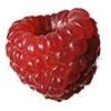 🍓 Эмодзи «в любви» для Telegram