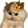 🤩 Эмодзи «в любви» для Telegram